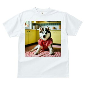 VxAnXL[ TVc  j[NfUCfB[X t@  t vg lJWA 킢 lԗp Mtg I ҏ΍ Lb` VxAnXL[ ԂM