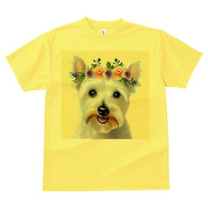 EGXgnChzCgeA TVc  j[NfUCfB[X t@  t vg lJWA 킢 lԗp Mtg I ҏ΍  EGXgnCh