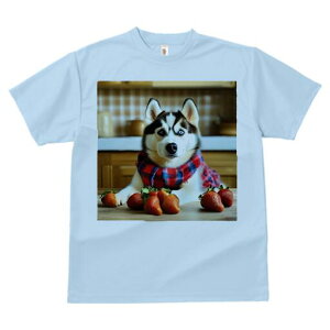 VxAnXL[ TVc  j[NfUCfB[X t@  t vg lJWA 킢 lԗp Mtg I ҏ΍ C`S VxAnXL[ XJ[t 