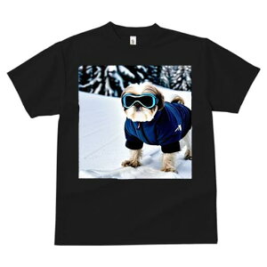 V[Y[ TVc  j[NfUCfB[X t@  t vg lJWA 킢 lԗp Mtg I ҏ΍  V[Y[ ~ XL[EFA S[O