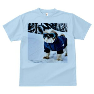 V[Y[ TVc  j[NfUCfB[X t@  t vg lJWA 킢 lԗp Mtg I ҏ΍  V[Y[ ~ XL[EFA S[O