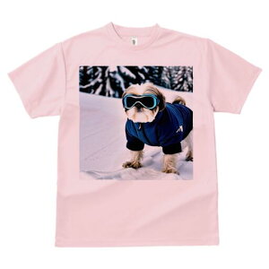 V[Y[ TVc  j[NfUCY LbY t@  t vg lJWA 킢 lԗp Mtg I ҏ΍  V[Y[ ~ XL[EFA S[O