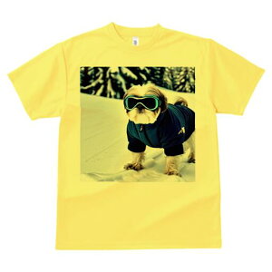 V[Y[ TVc  j[NfUCfB[X t@  t vg lJWA 킢 lԗp Mtg I ҏ΍  V[Y[ ~ XL[EFA S[O