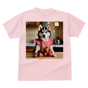 VxAnXL[ TVc  j[NfUCfB[X t@  t vg lJWA 킢 lԗp Mtg I ҏ΍ C`S VxAnXL[ Gv 