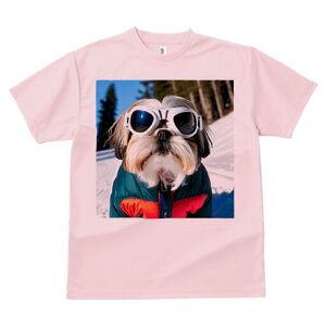 V[Y[ TVc  j[NfUCY LbY t@  t vg lJWA 킢 lԗp Mtg I ҏ΍ XL[ V[Y[ ~  XL[EFA