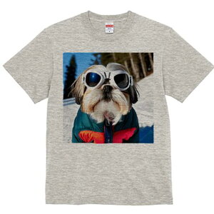 V[Y[ TVc  j[NfUCfB[X t@  t vg lJWA 킢 lԗp Mtg I ҏ΍ XL[ V[Y[ ~  XL[EFA