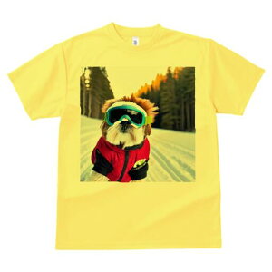 V[Y[ TVc  j[NfUCfB[X t@  t vg lJWA 킢 lԗp Mtg I ҏ΍ XL[ V[Y[  ~ XL[EFA