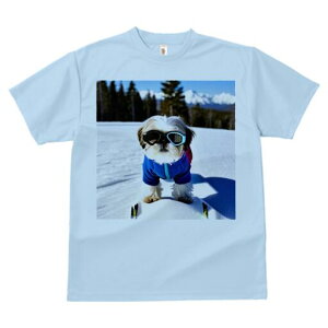 V[Y[ TVc  j[NfUCY LbY t@  t vg lJWA 킢 lԗp Mtg I ҏ΍ XL[ V[Y[ R ~ XL[EFA