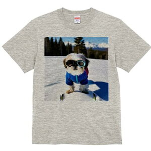 V[Y[ TVc  j[NfUCfB[X t@  t vg lJWA 킢 lԗp Mtg I ҏ΍ XL[ V[Y[ R ~ XL[EFA