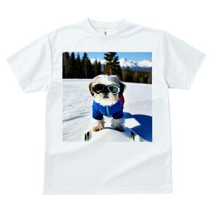 V[Y[ TVc  j[NfUCfB[X t@  t vg lJWA 킢 lԗp Mtg I ҏ΍ XL[ V[Y[ R ~ XL[EFA