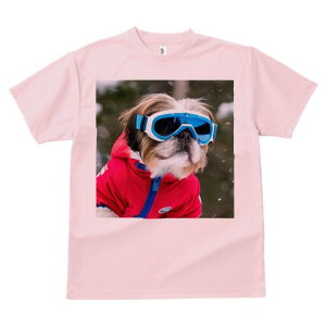 V[Y[ TVc  j[NfUCfB[X t@  t vg lJWA 킢 lԗp Mtg I ҏ΍ XL[EFA V[Y[ XL[S[O ~