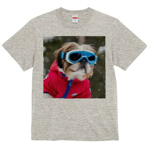 V[Y[ TVc  j[NfUCY LbY t@  t vg lJWA 킢 lԗp Mtg I ҏ΍ XL[EFA V[Y[ XL[S[O ~