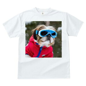 シーズー Tシャツ 犬愛 ユニークデザインレディース 犬ファン 半袖 春夏 プリント 大人カジュアル かわいい 人間用 ギフト 個性的 猛暑対策 スキーウェア シーズー スキーゴーグル 冬