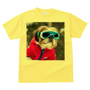 V[Y[ TVc  j[NfUCY LbY t@  t vg lJWA 킢 lԗp Mtg I ҏ΍ XL[EFA V[Y[ XL[S[O ~