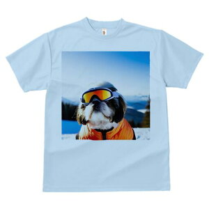 V[Y[ TVc  j[NfUCY LbY t@  t vg lJWA 킢 lԗp Mtg I ҏ΍ XL[ V[Y[ XL[EFA ~ R