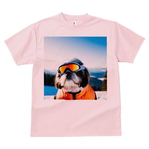 V[Y[ TVc  j[NfUCfB[X t@  t vg lJWA 킢 lԗp Mtg I ҏ΍ XL[ V[Y[ XL[EFA ~ R