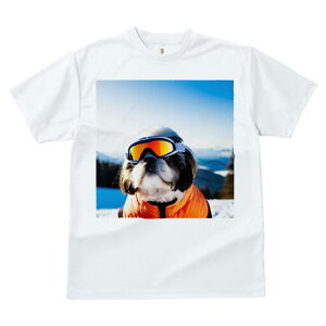 V[Y[ TVc  j[NfUCY LbY t@  t vg lJWA 킢 lԗp Mtg I ҏ΍ XL[ V[Y[ XL[EFA ~ R