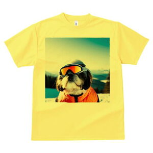 V[Y[ TVc  j[NfUCfB[X t@  t vg lJWA 킢 lԗp Mtg I ҏ΍ XL[ V[Y[ XL[EFA ~ R