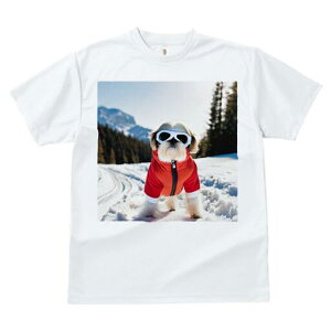 V[Y[ TVc  j[NfUCfB[X t@  t vg lJWA 킢 lԗp Mtg I ҏ΍ R V[Y[ XL[EFA XL[S[O ~