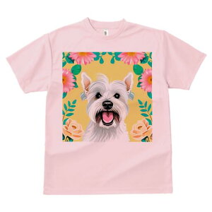 EGXgnChzCgeA TVc  j[NfUCfB[X t@  t vg lJWA 킢 lԗp Mtg I ҏ΍  EGXgnCh