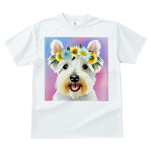 EGXgnChzCgeA TVc  j[NfUCfB[X t@  t vg lJWA 킢 lԗp Mtg I ҏ΍ ԗ EGXgnC