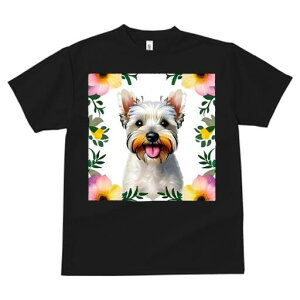 EGXgnChzCgeA TVc  j[NfUCfB[X t@  t vg lJWA 킢 lԗp Mtg I ҏ΍  EGXgnCh