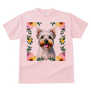 EGXgnChzCgeA TVc  j[NfUCfB[X t@  t vg lJWA 킢 lԗp Mtg I ҏ΍  EGXgnCh