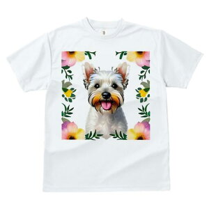 EGXgnChzCgeA TVc  j[NfUCfB[X t@  t vg lJWA 킢 lԗp Mtg I ҏ΍  EGXgnCh