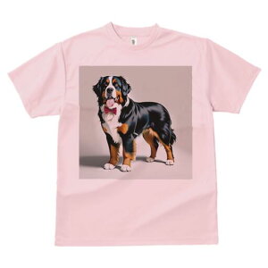 o[j[Y}EehbO TVc  j[NfUCfB[X t@  t vg lJWA 킢 lԗp Mtg I ҏ΍ lN^C o[j[Y}E