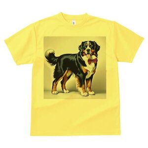 o[j[Y}EehbO TVc  j[NfUCfB[X t@  t vg lJWA 킢 lԗp Mtg I ҏ΍ lN^C o[j[Y}E