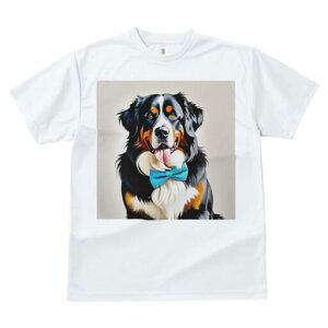 o[j[Y}EehbO TVc  j[NfUCfB[X t@  t vg lJWA 킢 lԗp Mtg I ҏ΍ lN^C o[j[Y}E