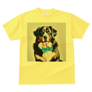 o[j[Y}EehbO TVc  j[NfUCfB[X t@  t vg lJWA 킢 lԗp Mtg I ҏ΍ lN^C o[j[Y}E