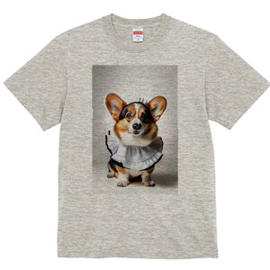 R[M[ TVc  j[NfUCfB[X t@  t vg lJWA 킢 lԗp Mtg I ҏ΍ Ch R[M[ t