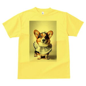 R[M[ TVc  j[NfUCfB[X t@  t vg lJWA 킢 lԗp Mtg I ҏ΍ Ch R[M[ t