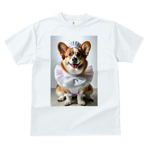 R[M[ TVc  j[NfUCfB[X t@  t vg lJWA 킢 lԗp Mtg I ҏ΍ Ch R[M[ t