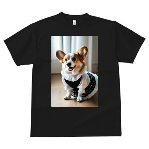 R[M[ TVc  j[NfUCfB[X t@  t vg lJWA 킢 lԗp Mtg I ҏ΍ Ch R[M[