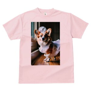 R[M[ TVc  j[NfUCfB[X t@  t vg lJWA 킢 lԗp Mtg I ҏ΍ Ch R[M[ Xq