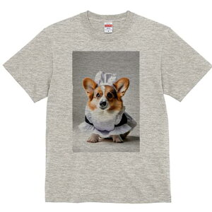 R[M[ TVc  j[NfUCfB[X t@  t vg lJWA 킢 lԗp Mtg I ҏ΍ Ch R[M[ RX`[