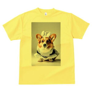 R[M[ TVc  j[NfUCfB[X t@  t vg lJWA 킢 lԗp Mtg I ҏ΍ Ch R[M[ RX`[