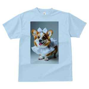 R[M[ TVc  j[NfUCfB[X t@  t vg lJWA 킢 lԗp Mtg I ҏ΍ { R[M[ t