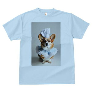 R[M[ TVc  j[NfUCfB[X t@  t vg lJWA 킢 lԗp Mtg I ҏ΍ RbNX R[M[ t