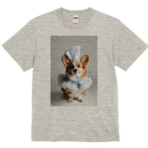 R[M[ TVc  j[NfUCfB[X t@  t vg lJWA 킢 lԗp Mtg I ҏ΍ RbNX R[M[ t