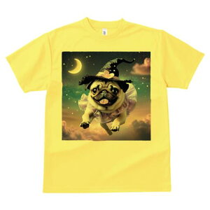 pO TVc  j[NfUCfB[X t@  t vg lJWA 킢 lԗp Mtg I ҏ΍  pO  _ Xq