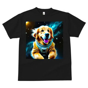 S[fgo[ TVc  j[NfUCfB[X t@  t vg lJWA 킢 lԗp Mtg I ҏ΍ F S[fgo[ F