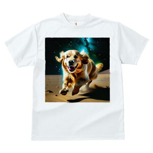 S[fgo[ TVc  j[NfUCfB[X t@  t vg lJWA 킢 lԗp Mtg I ҏ΍ F S[fgo[ 