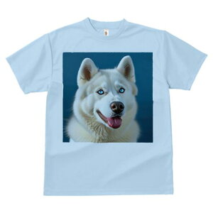 nXL[ TVc  j[NfUCfB[X t@  t vg lJWA 킢 lԗp Mtg I ҏ΍ nXL[