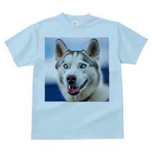 VxAnXL[ TVc  j[NfUCfB[X t@  t vg lJWA 킢 lԗp Mtg I ҏ΍ VxAnXL[