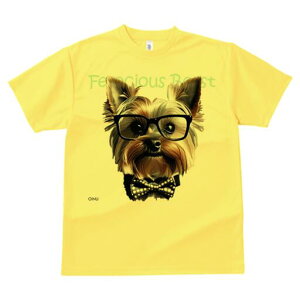 [NV[eA TVc  j[NfUCfB[X t@  t vg lJWA 킢 lԗp Mtg I ҏ΍ Kl [NV[eA lN^