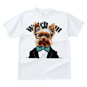 [NV[eA TVc  j[NfUCfB[X t@  t vg lJWA 킢 lԗp Mtg I ҏ΍ Kl [NV[eA lN^