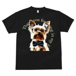 [NV[eA TVc  j[NfUCY LbY t@  t vg lJWA 킢 lԗp Mtg I ҏ΍ Kl [NV[eA lN